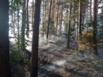 Národný park Slovenský raj čelil lesnému požiaru: Ľudská nedbalosť?