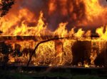 MIMORIADNA TRAGÉDIA: PO POŽIARI ZAHYNULO 5 ĽUDÍ