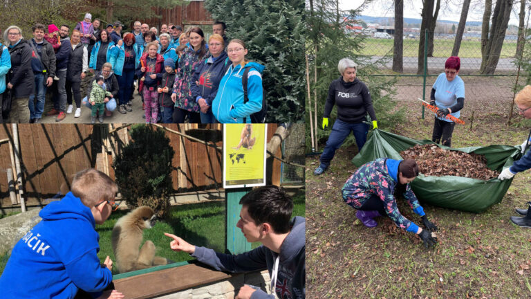 Rodiny a priatelia detí s diabetom upracú ZOO v Spišskej Novej Vsi. Symbolom ich odvahy je dikobraz