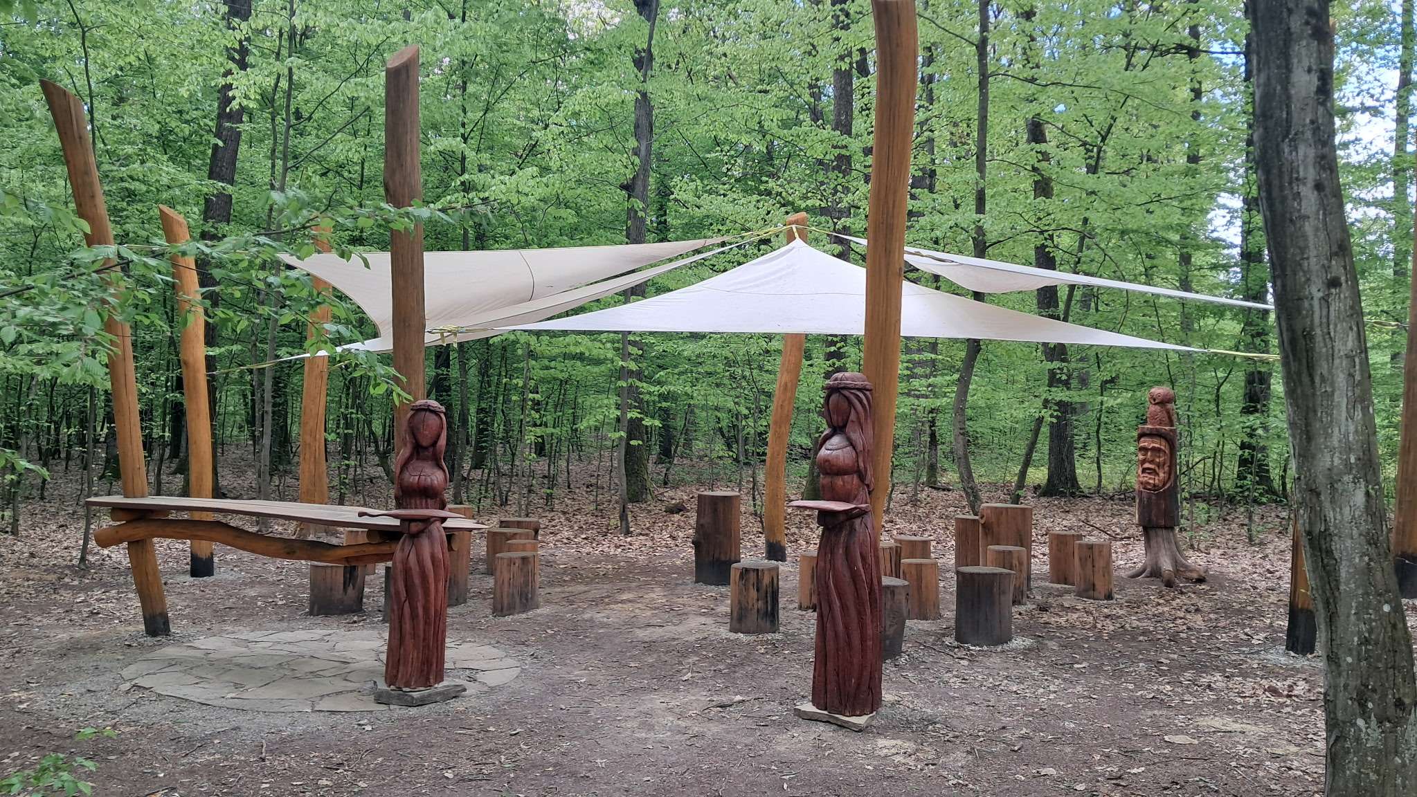 Na kávu do lesa a bez signálu: V Šaci otvorili unikátnu samoobslužnú kaviareň