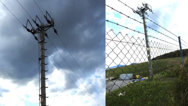 Tragický večer pre bociany: Elektrické vedenie v Spišskej Novej Vsi usmrtilo niekoľko chránených jedincov