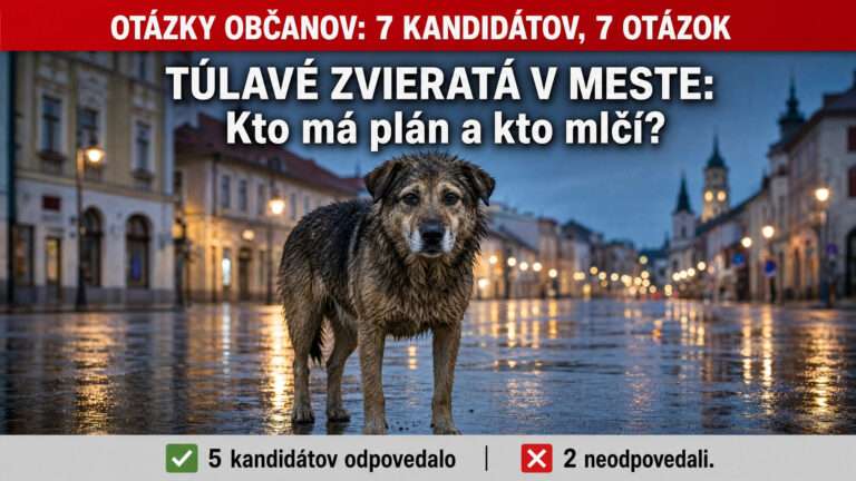 Túlavé zvieratá Spišská Nová Ves – opustený pes na večernej ulici mesta a odpovede kandidátov na primátora