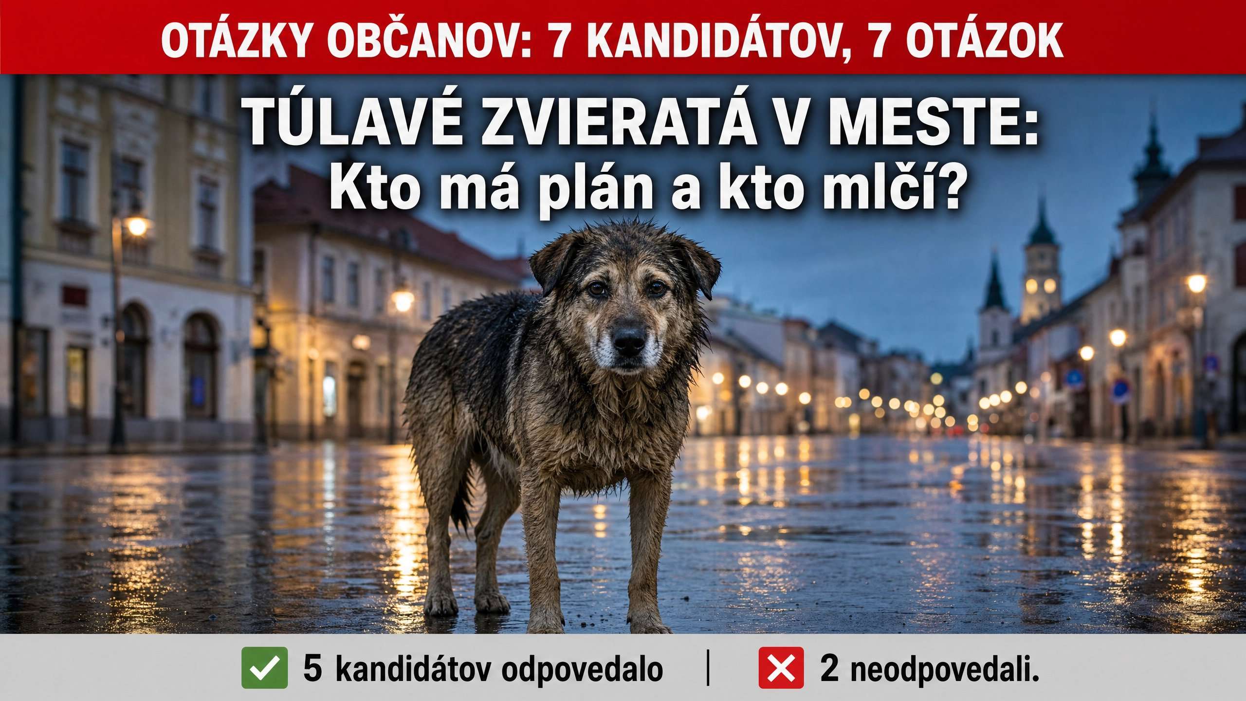 Túlavé zvieratá Spišská Nová Ves – opustený pes na večernej ulici mesta a odpovede kandidátov na primátora